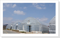 나비사육 온실 (B동)