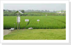 벼 병해충 예찰포