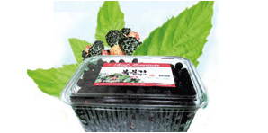 覆盆子冷冻鲜果