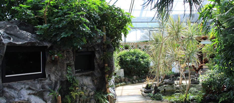 아열대식물관 