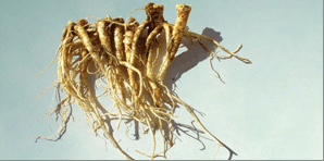 Raw Balloon Flower Root and Balloon Flower Root Powder