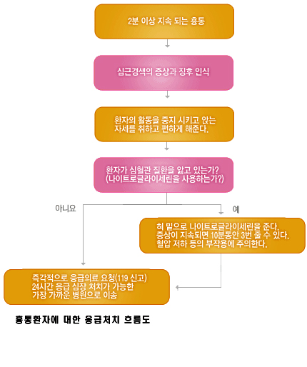 흉통환자에 대한 응급처치 흐름도