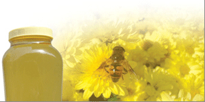 蜂蜜、ローヤルゼリー