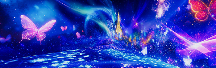 신비로운 나비의 숲 이미지