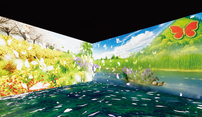 신비로운 나비의 숲 이미지