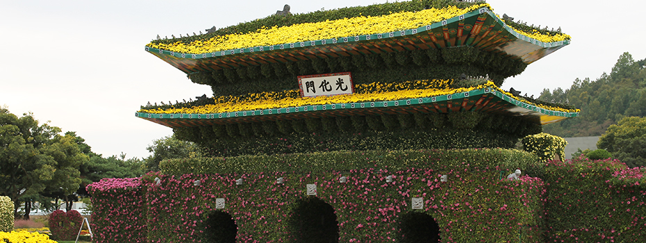 大韩民国菊香大典