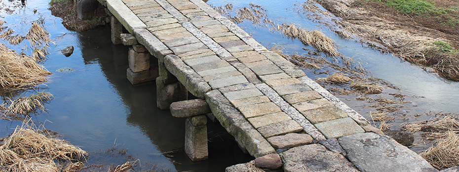 Hampyeong Gomakcheon Stone Bridge