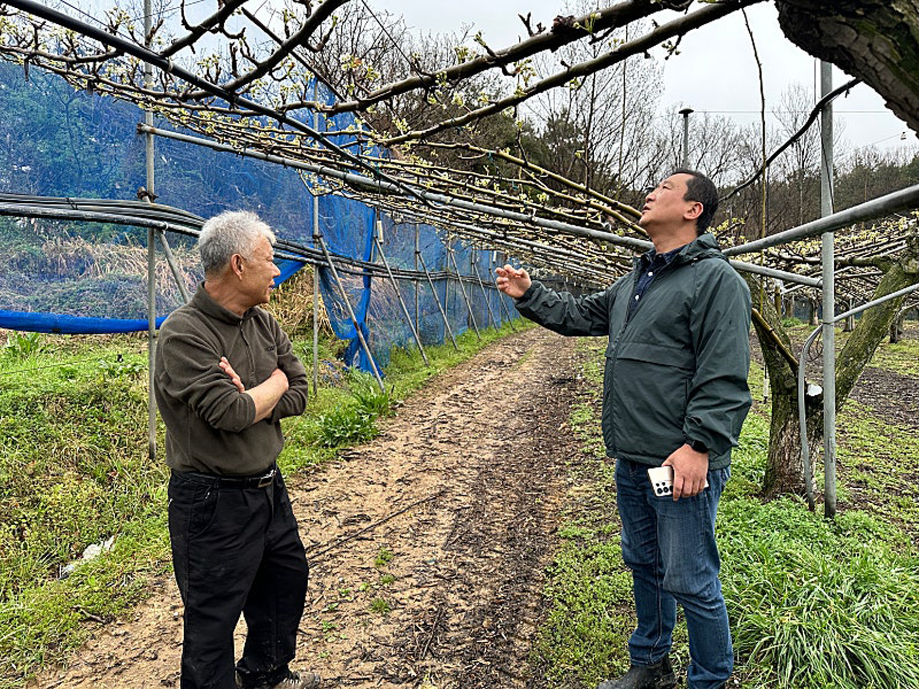 함평군 기상이변으로 인한 봄철 우박 피해 우려…신속한 현장 기술지원 실시