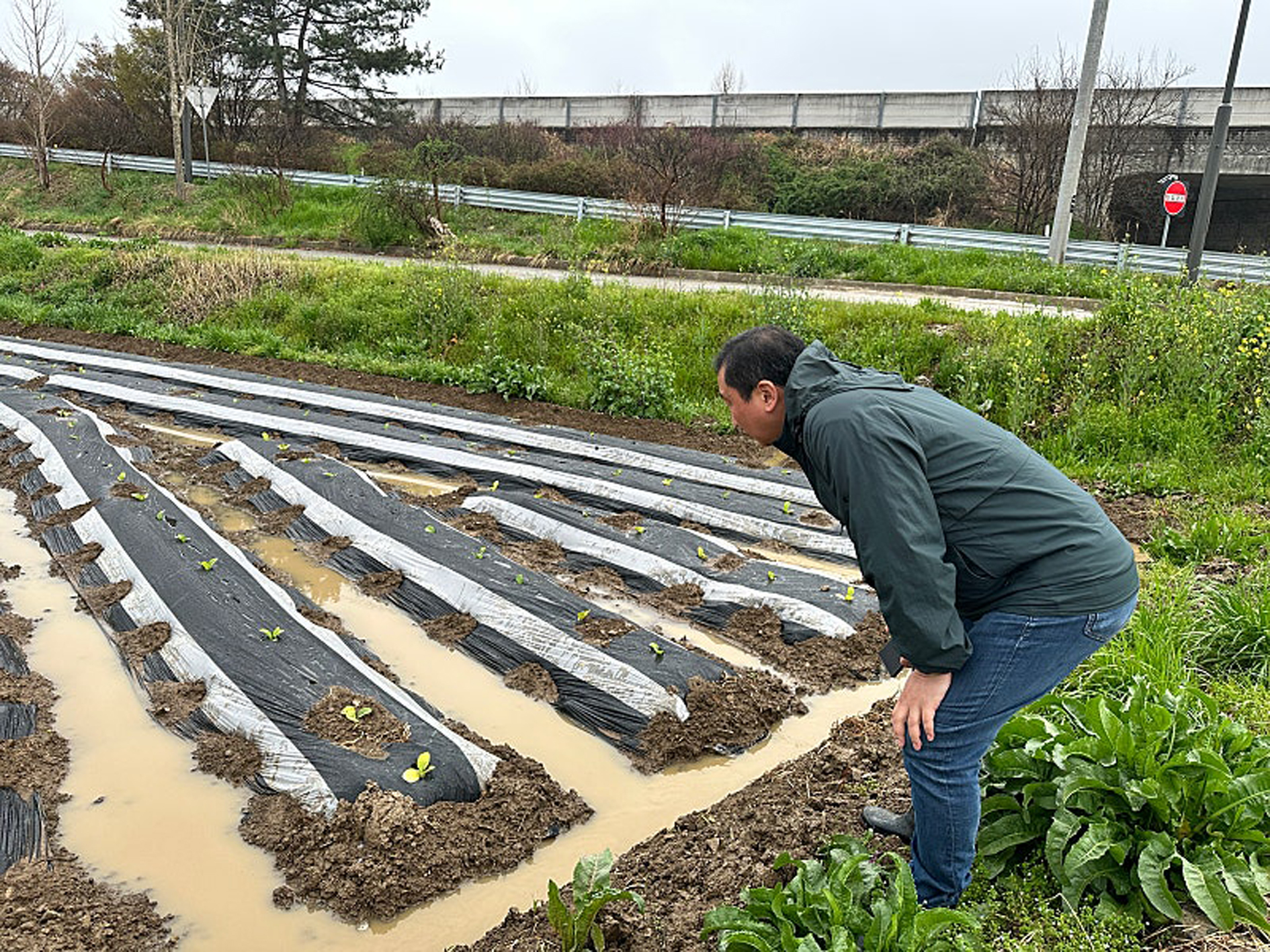 함평군 기상이변으로 인한 봄철 우박 피해 우려…신속한 현장 기술지원 실시