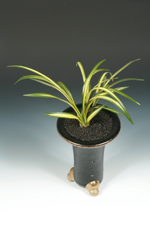 특별상(난세계사장상)-중투(진주성)-이행우