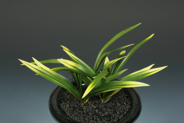 최우수상(환경부장관상)-산반(미금)-김재곤