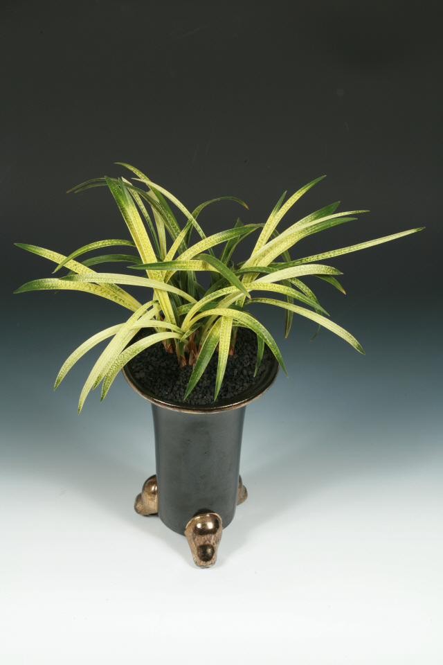 최우수상(농림수산식품부장관상)-사피(곤룡포)-김재곤