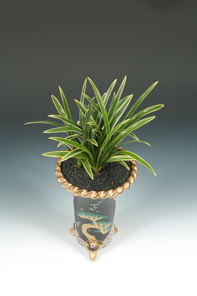 특별상(심사위원장상)-복륜(금지옥엽)-정승영