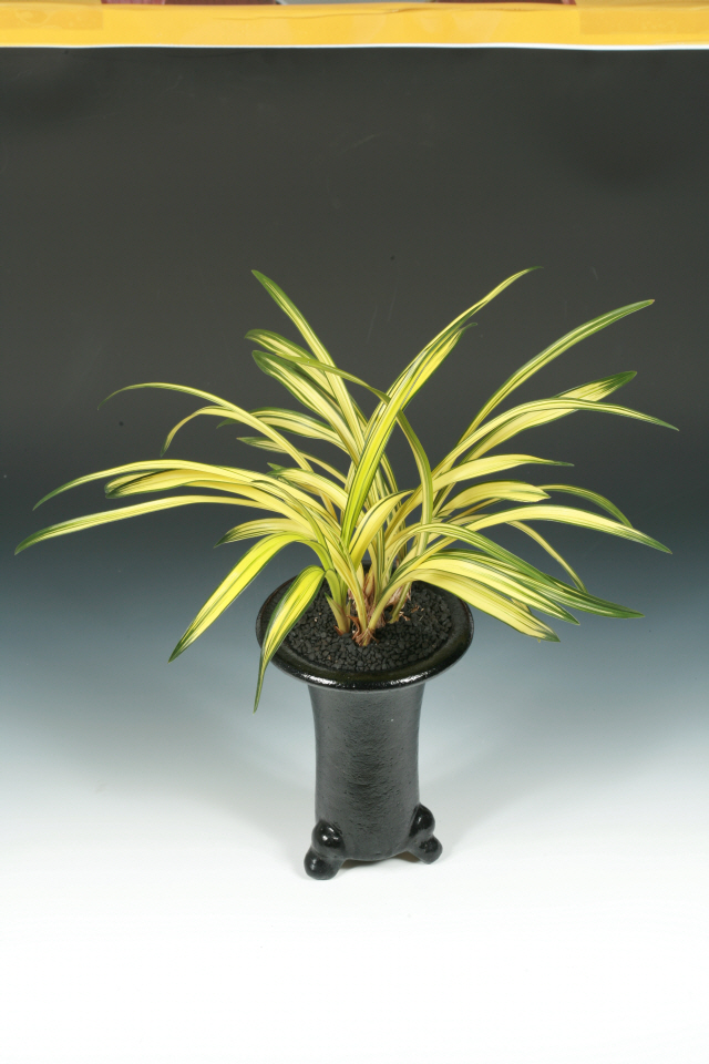 대상(국무총리상)-중투(금강산)-김란임