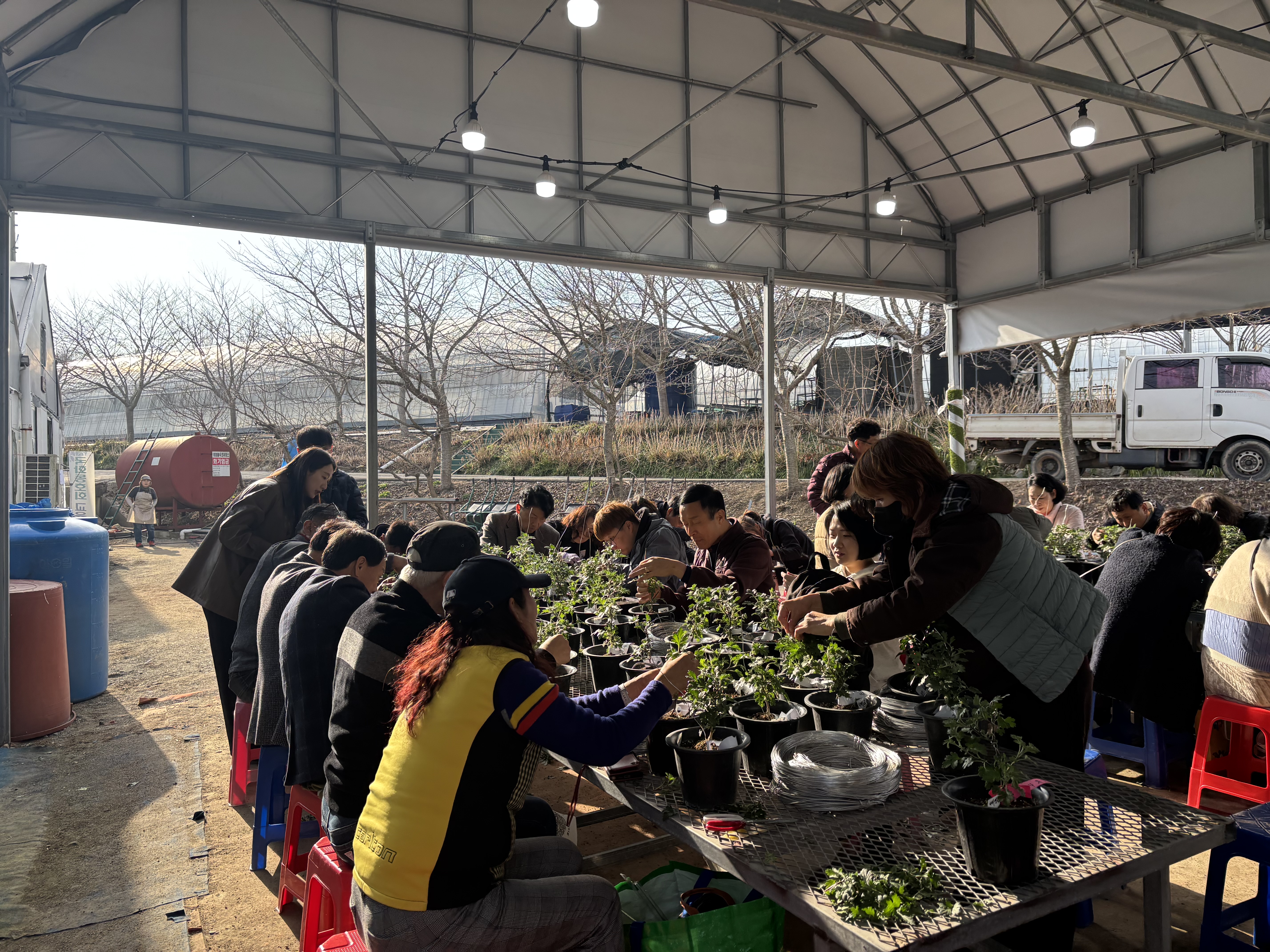 “멈추지 않는 국화 사랑” 함평군, ‘대한민국 국화동호회’ 분재교육 개강식 성료