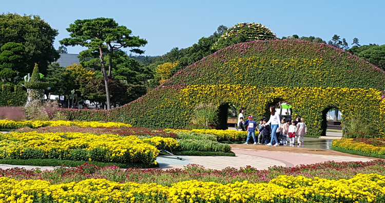 대한민국국향대전16