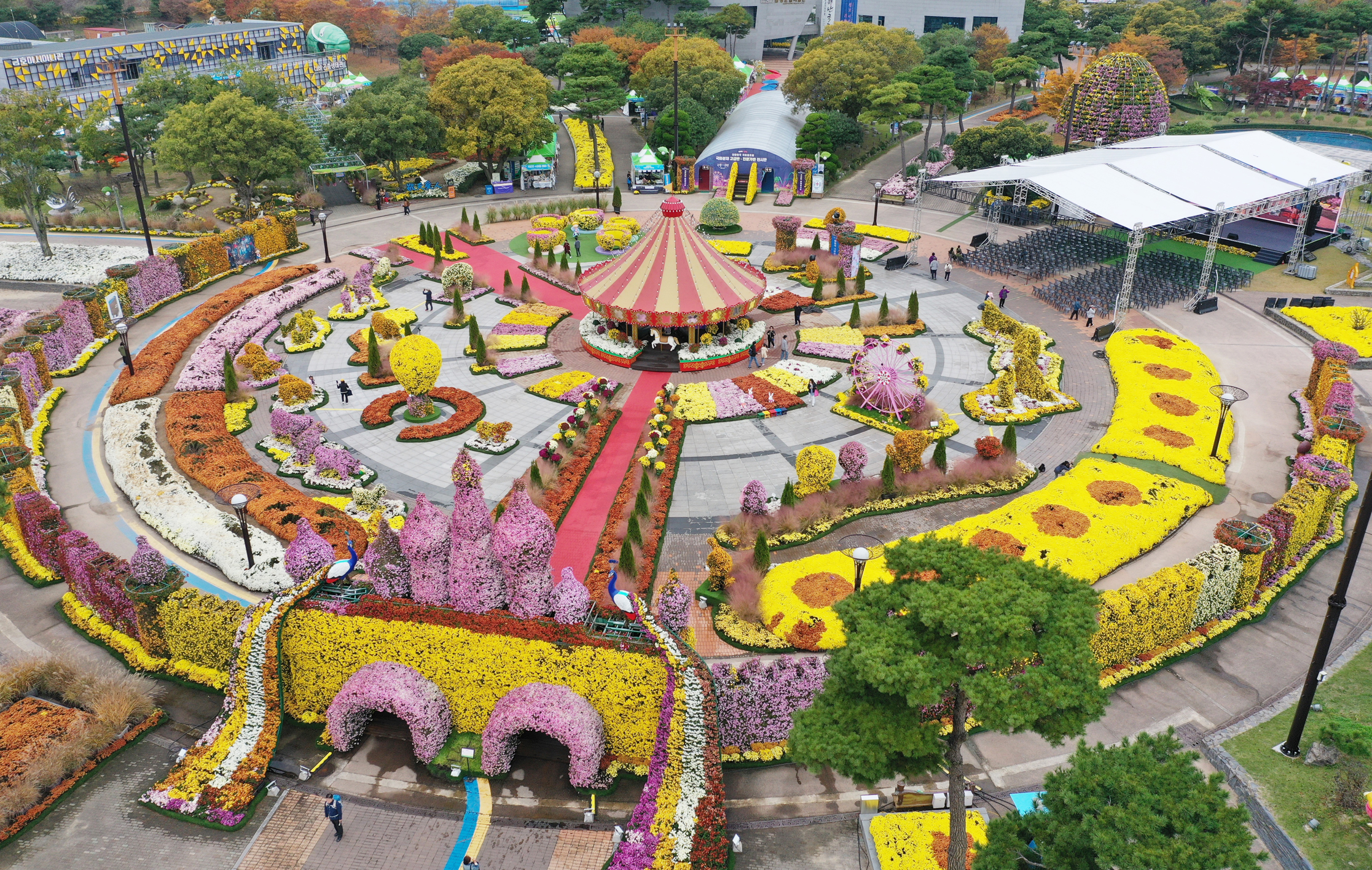 함평군 ‘대한민국 국향대전’, 전라남도 대표 우수 축제 선정!
