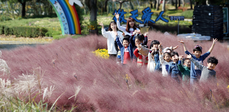 대한민국국향대전17