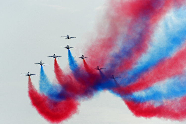 함평나비축제25