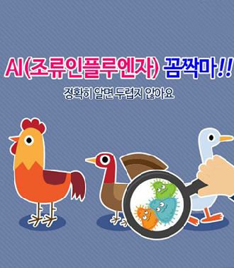 조류인플루엔자 꼼짝마