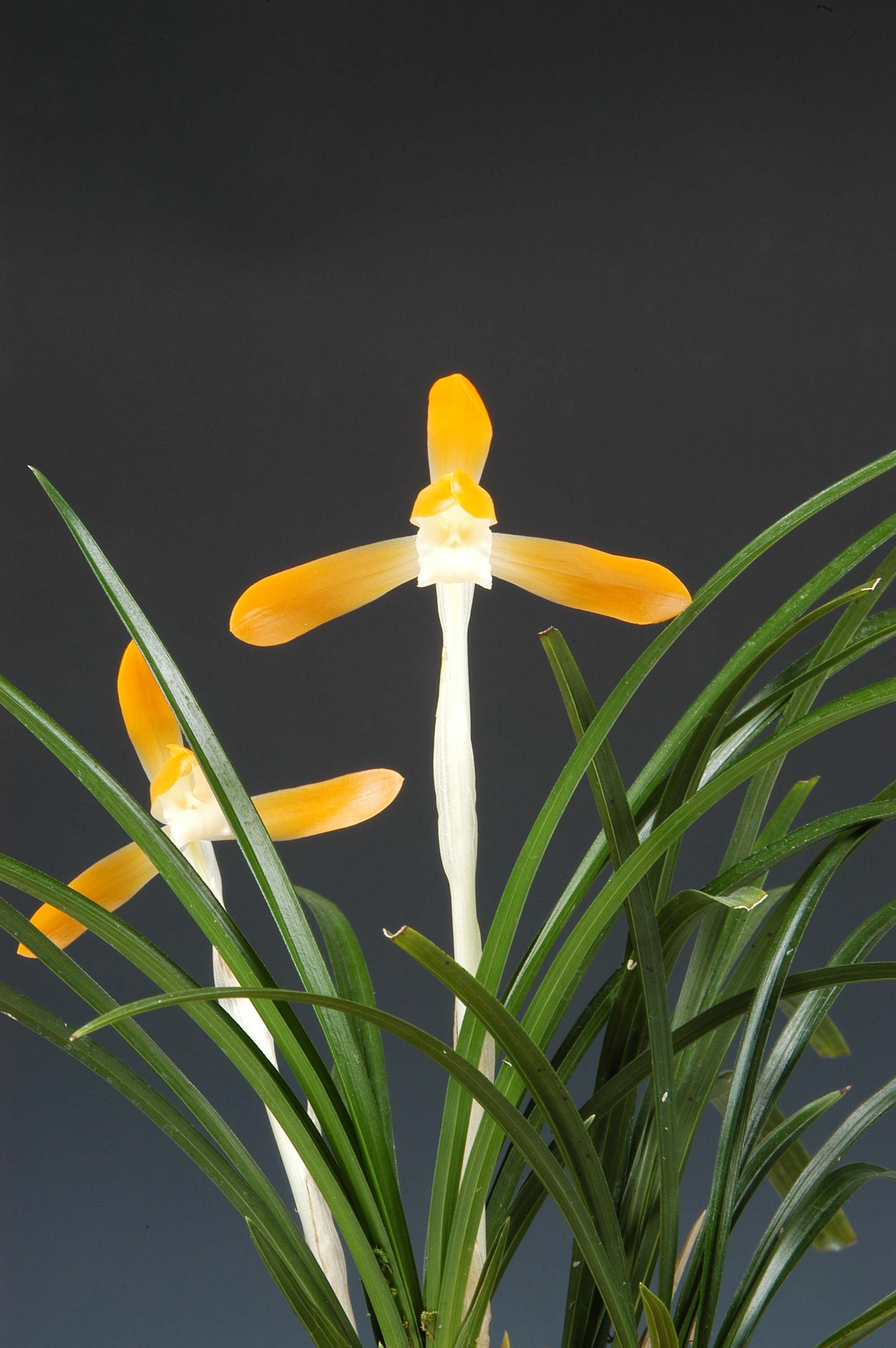 특별상-주금소심-이수연