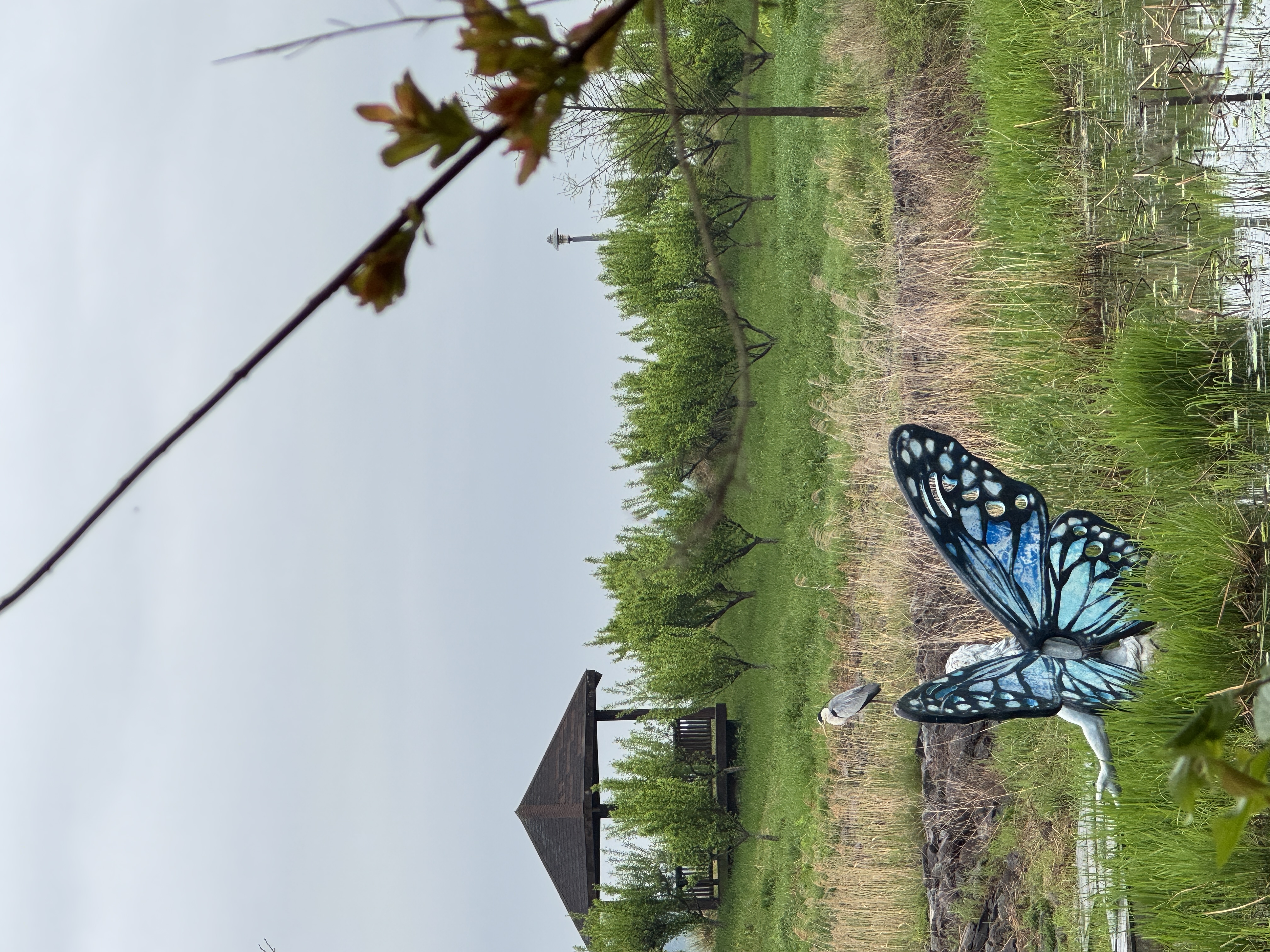 Welcome to Hampyeong butterfly festival 2025