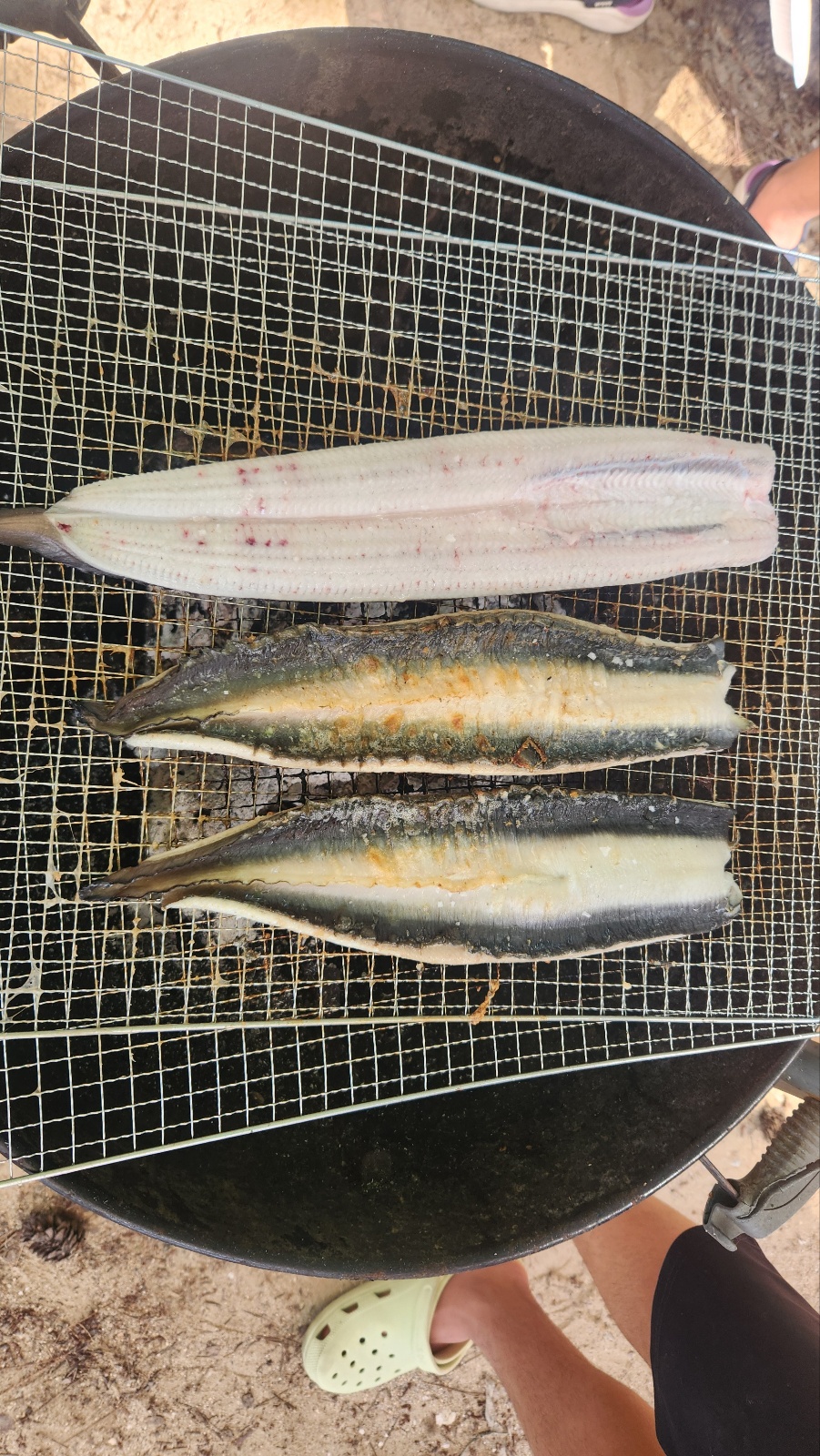 즐길거리가 너무 많은 함평여행. 1박2일 알차게 즐기는 방법