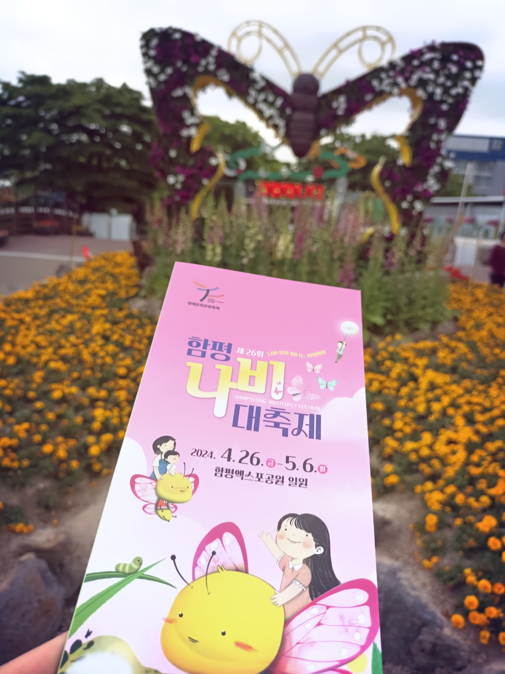함평의 나비축제 봄이오고있음을 느끼면서