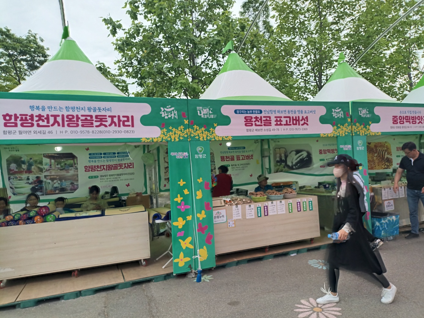 행복의나라로 봄꽃가득한 함평으로