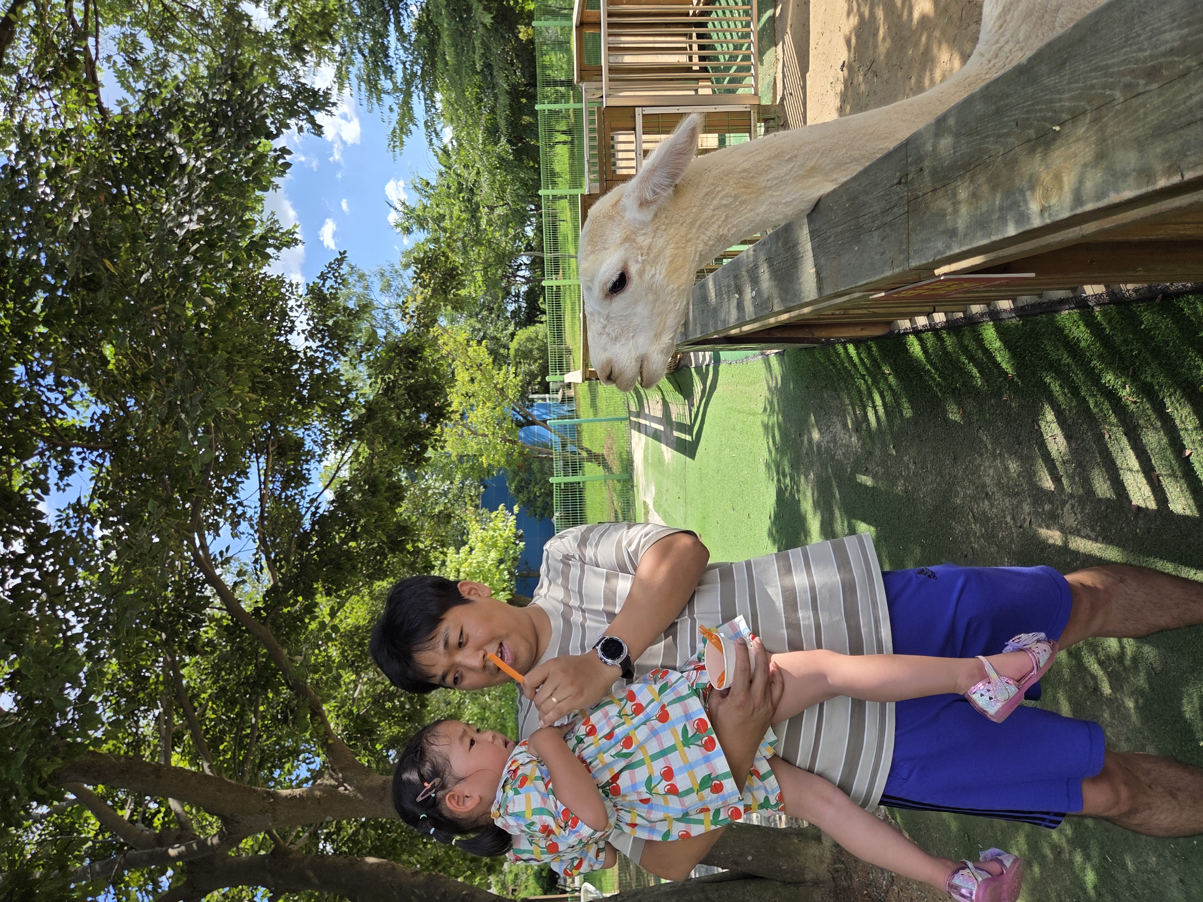 여름을 부탁해!