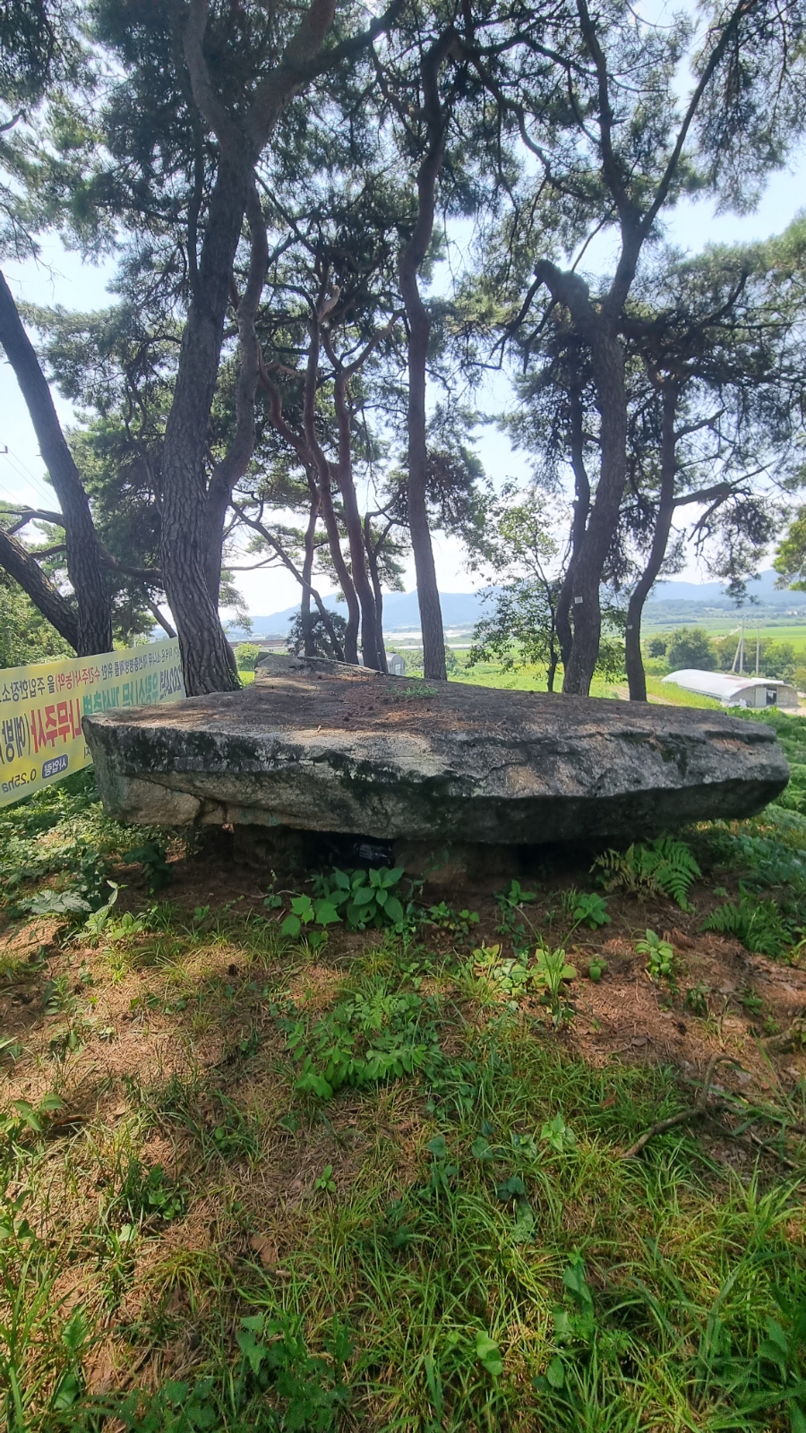 함평 용월리 지석묘군 팔열부정각 예덕리 고분군
