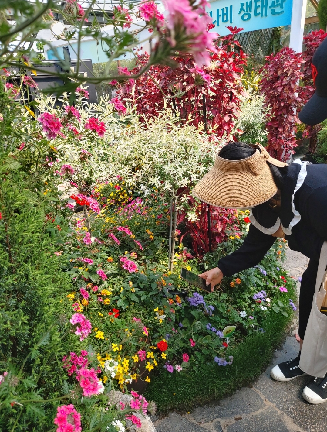 함평은 대한민국 최고의 꽃과 나비의 고장입니다.