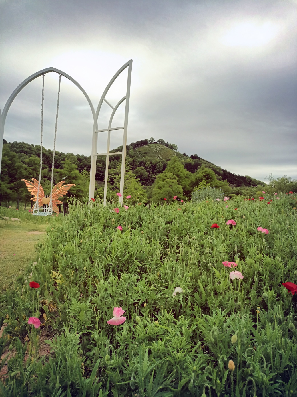 함평에 찾아온 봄 나비축제에서 마음껏 응원합니다