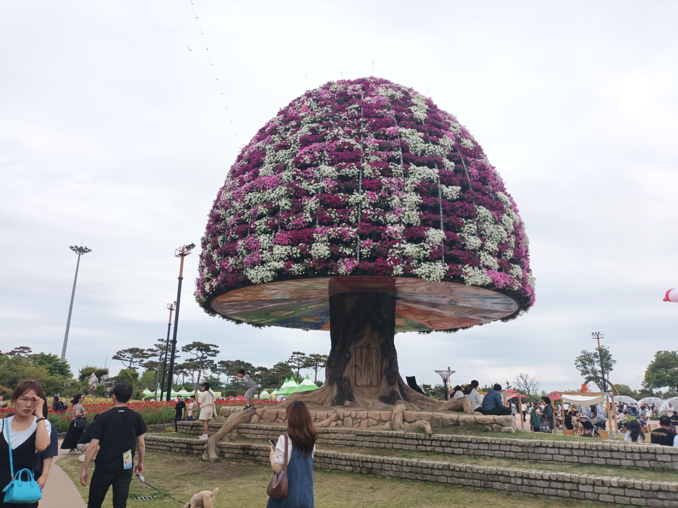 함평에 찾아온 봄 나비축제에서 마음껏 응원합니다