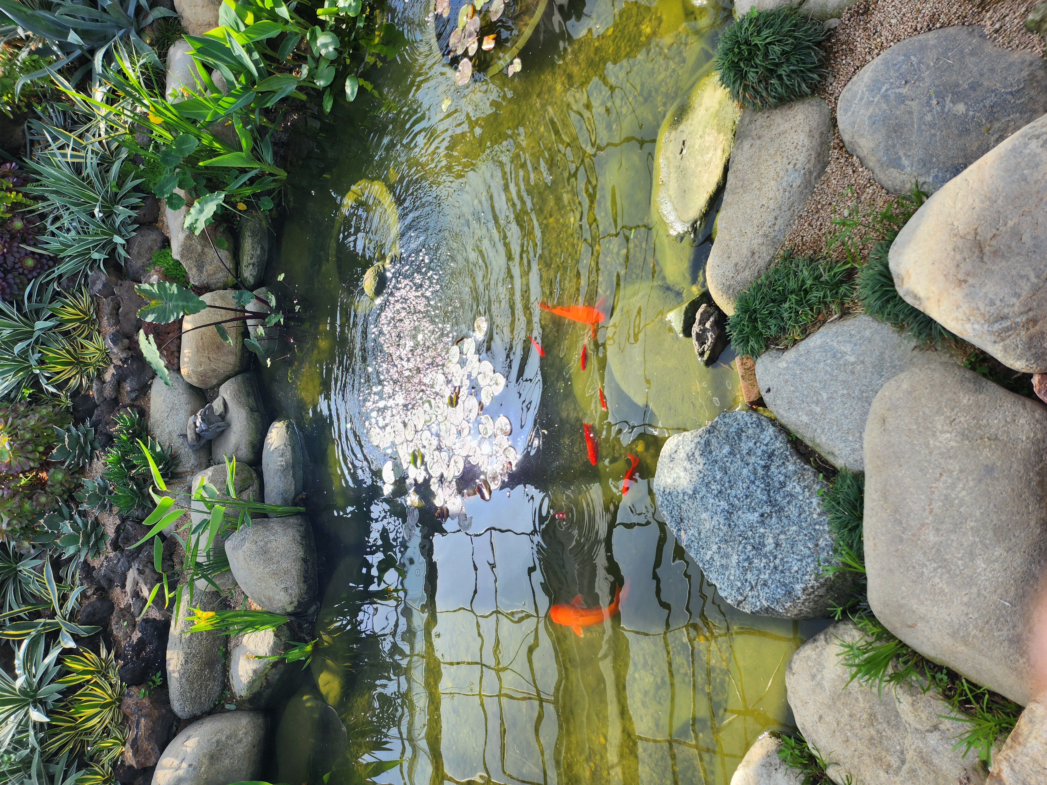 아빠와함평나비축제나들이~