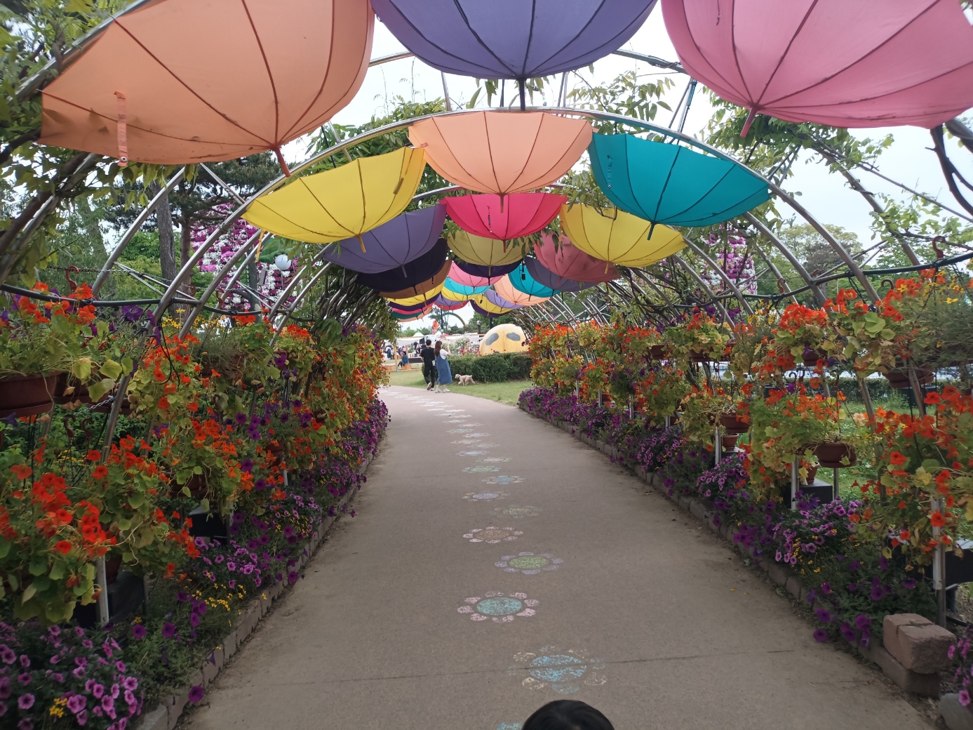 함평 엑스포 공원 그 가치를 더해가다