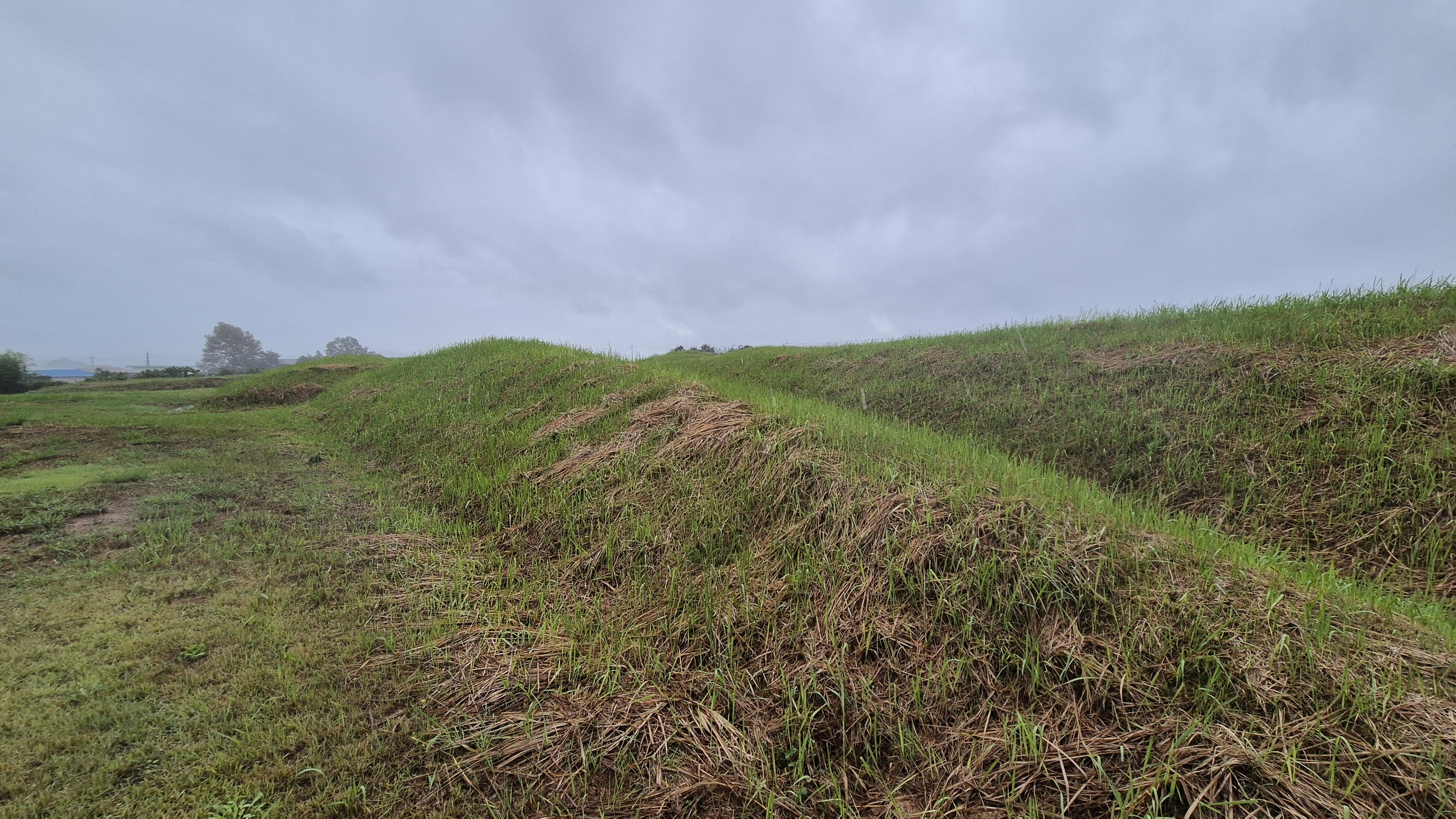 함평의 특이한 고분들(신덕고분군, 예덕리고분군)