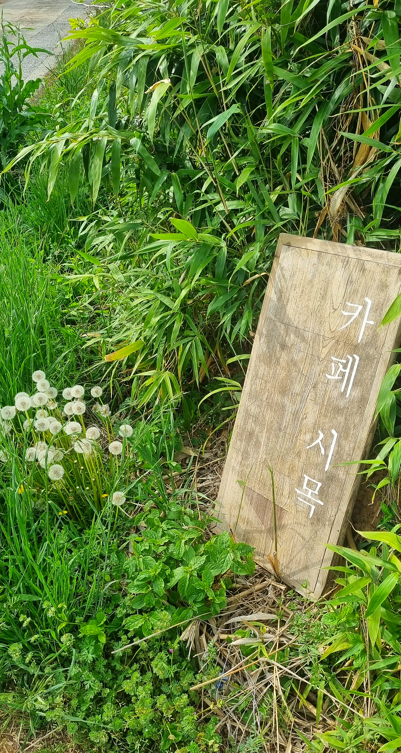 참 평온한 함평 봄여행