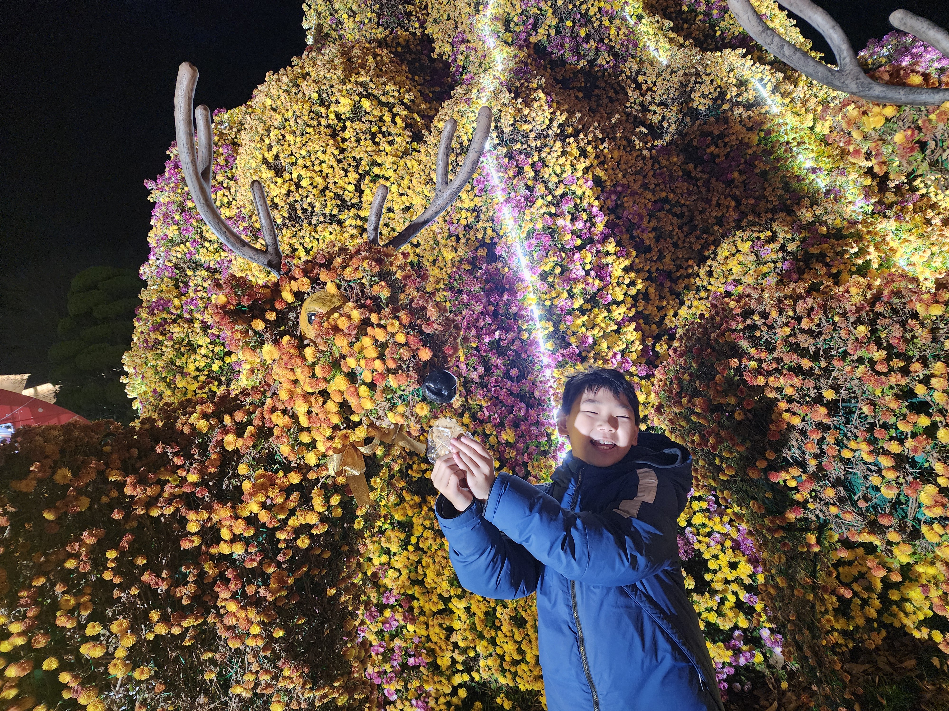 함평 겨울빛축제 방문