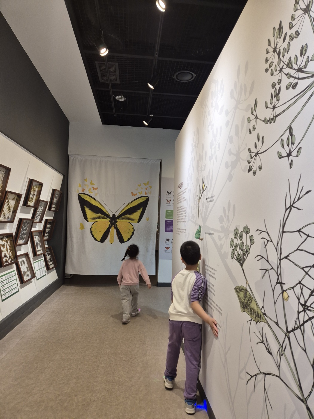 함평으로 가득찬 하루