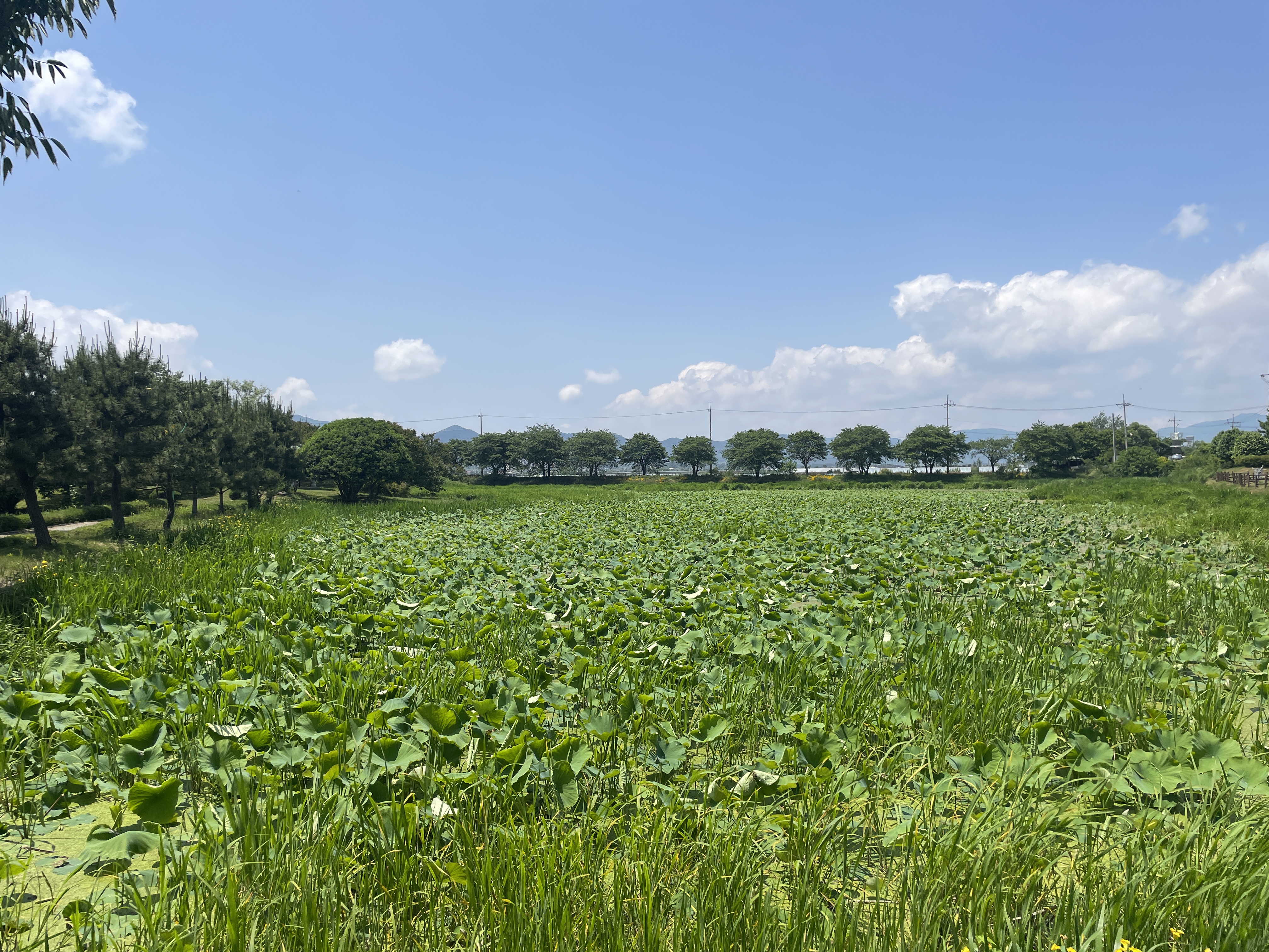 함평의 자연과 함께한 일주일