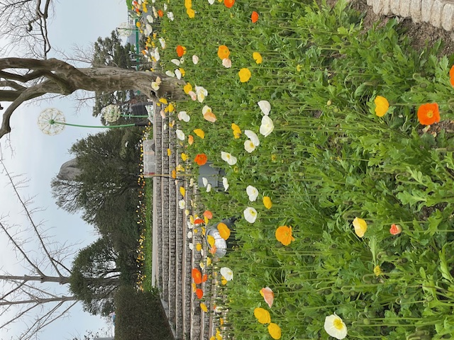 봄봄함평 이벤트