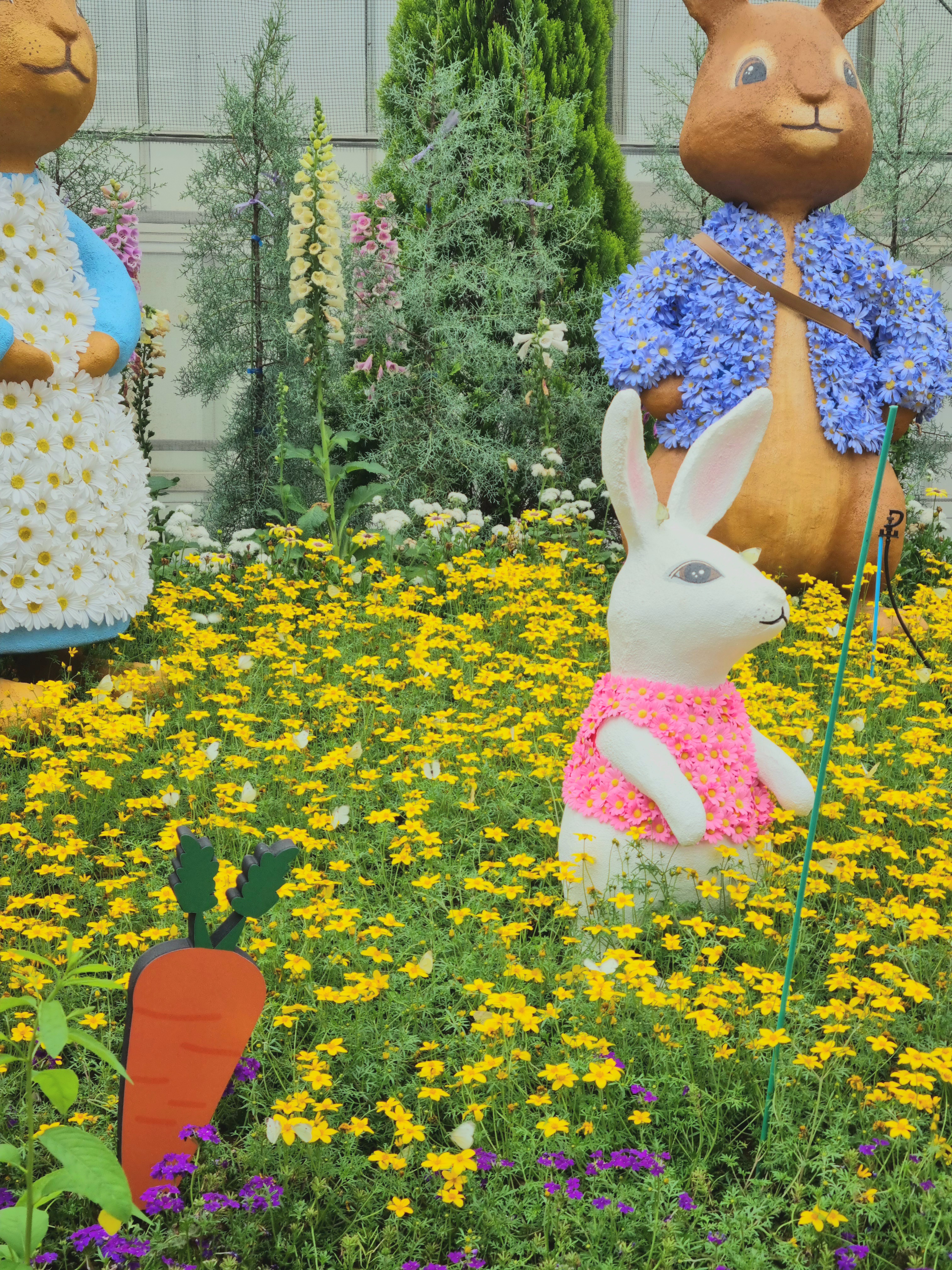 봄의 마지막은 함평에서