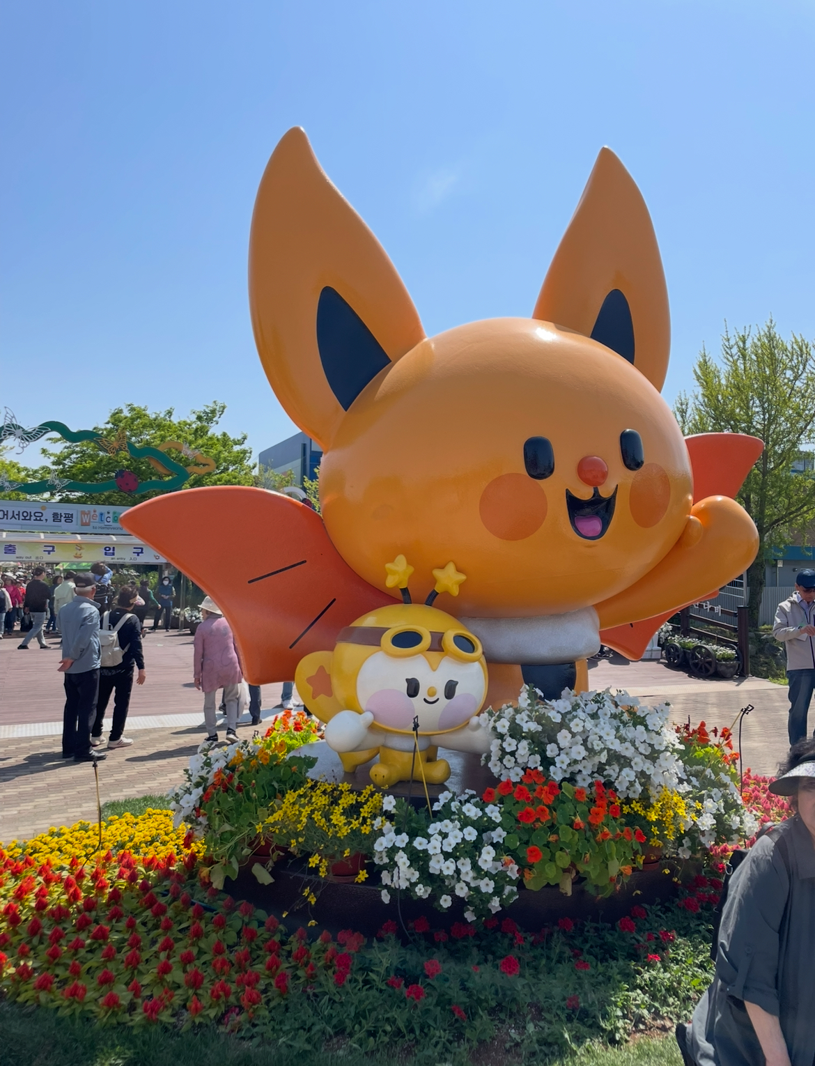 함평 나비대축제 대만족! 즐거운 함평 여행 했습니다~~