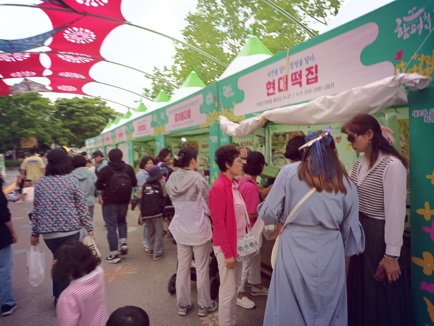 함평의 나비축제 봄이오고있음을 느끼면서