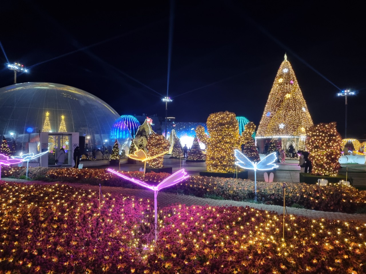 함평 겨울 빛 축제 전경
