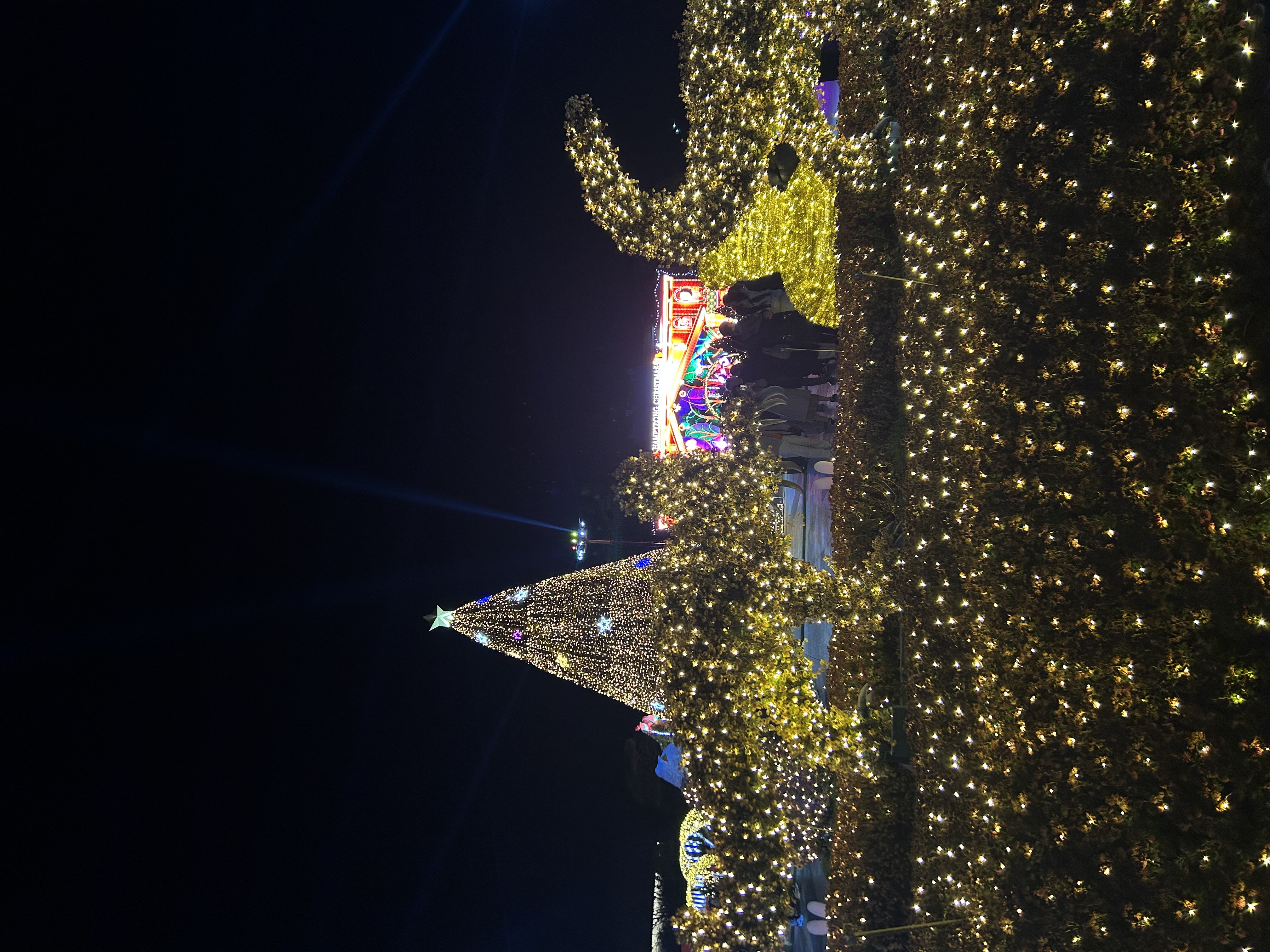겨울밤을 수놓은 함평 빛축제!