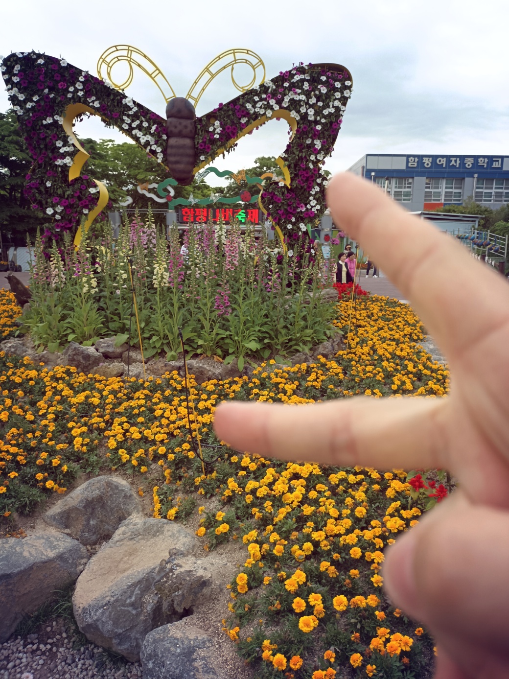 함평의 나비축제 봄이오고있음을 느끼면서