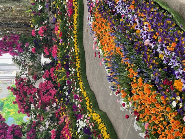 봄봄함평 이벤트