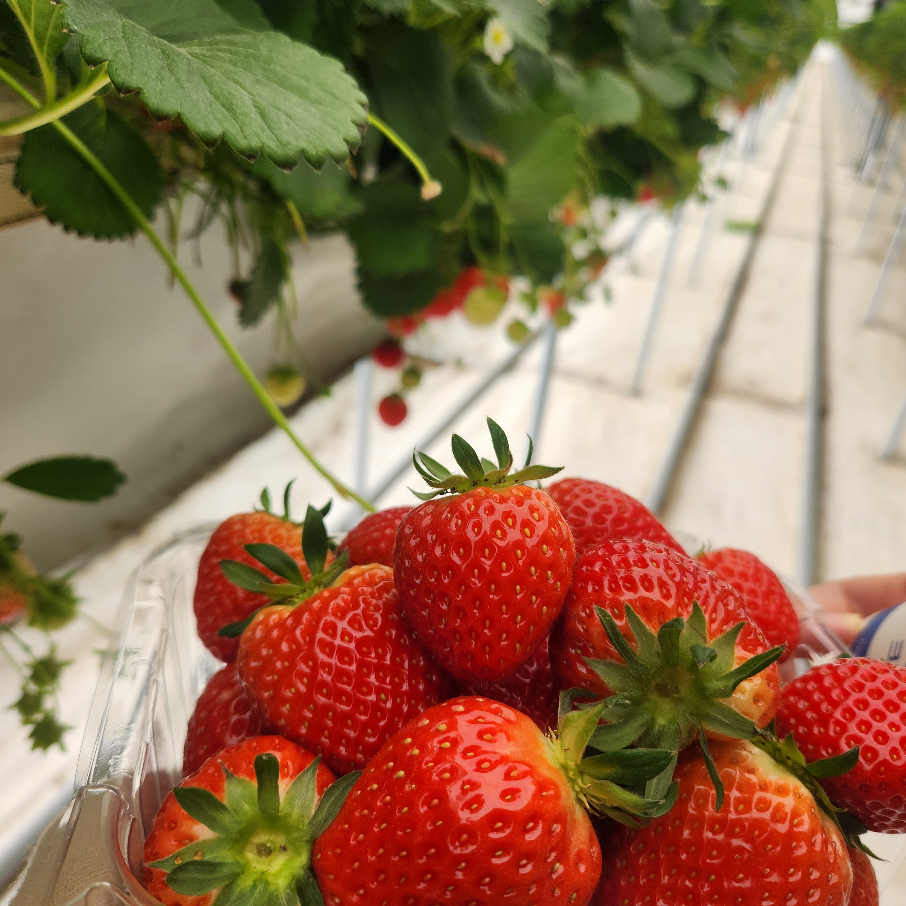 20대가 함평 방문 후 추천하는 여행 코스